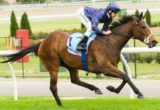 Atlantic Jewel winning the Top Cut Stocks Stakes at Moonee Valley - photo by Race Horse Photos Australia