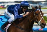 Atlantic Jewel winning the Cathay Pacific Caulfield Stakes at Caulfield - photo by Race Horse Photos Australia