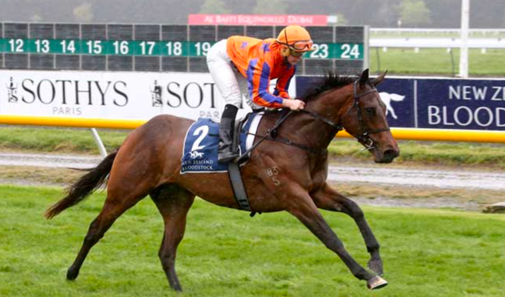 Avantage horse | Just Horse Racing