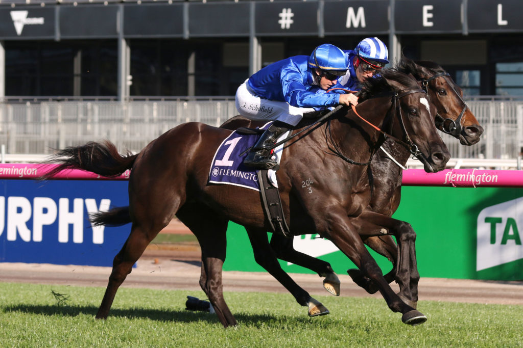 Avilius,The Bart Cummings,Group 3_06-10-2018_WIN_Flemington_7__2035 | Just Horse Racing
