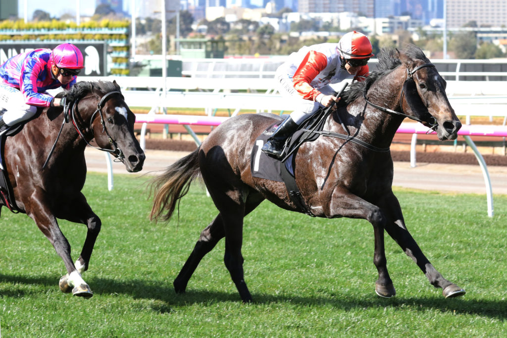Azazel_05-08-2017_WIN_Flemington_1__165 | Just Horse Racing