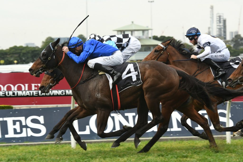 Badajoz 120817 5253 | Just Horse Racing