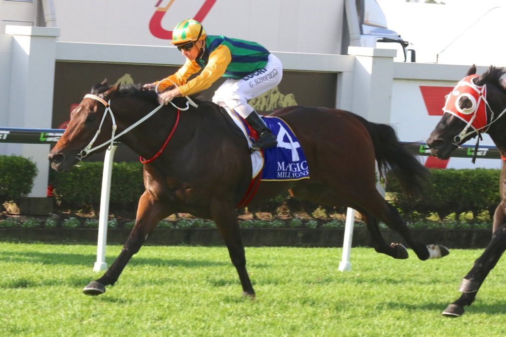 Ball Of Muscle | Just Horse Racing Ball Of Muscle