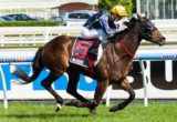 Bass Strit winning the TMB Printing Handicap at Caulfield - photo by Race Horse Photos Australia