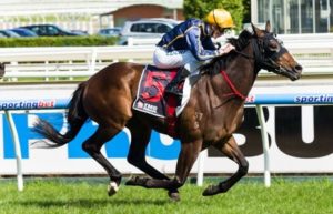 Caulfield Raceday | Just Horse Racing Bass Strit winning the TMB Printing Handicap at Caulfield - photo by Race Horse Photos Australia