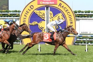 Bassett | Just Horse Racing Bassett