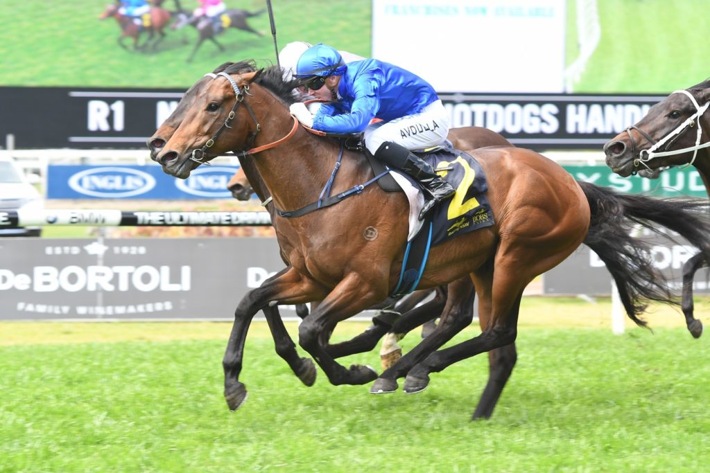 Beau Geste 230917 8814 | Just Horse Racing