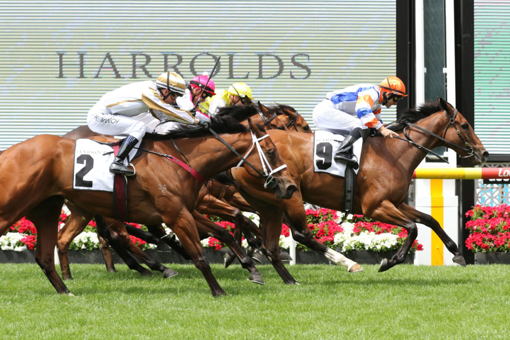 Beauty,Crockette Stakes,Listed_27-10-2018_WIN_Moonee Valley_4__2157 | Just Horse Racing