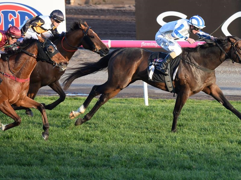 Hardham | Just Horse Racing