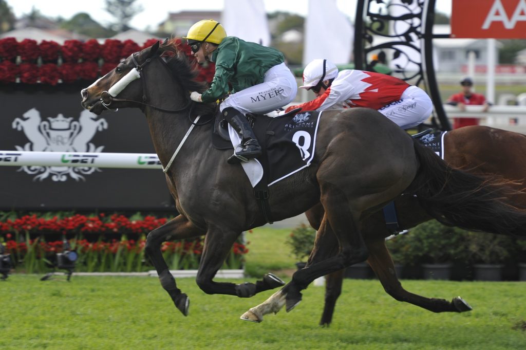 benzini-110616-9600 | Just Horse Racing