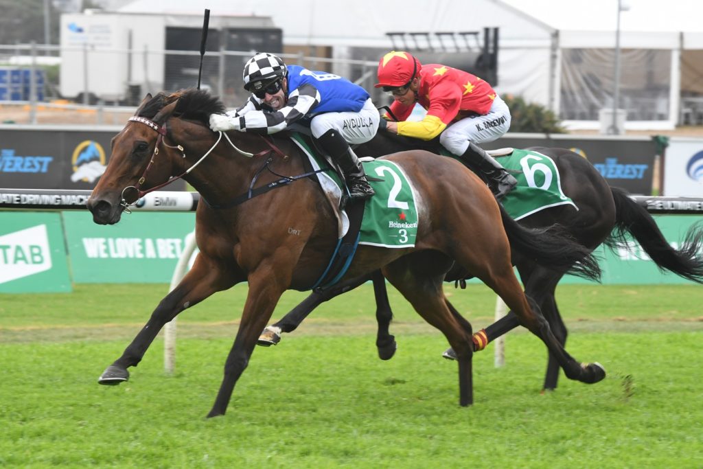 Big Duke 141017 2355 | Just Horse Racing