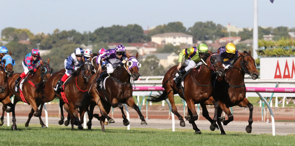Big Memory_04-03-2017_WIN_Flemington_8__1279 | Just Horse Racing