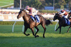 Black Caviar 130413 2957