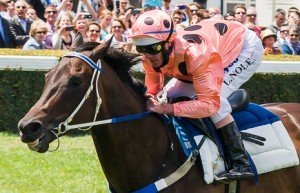 Black Caviar