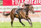Black Caviar
