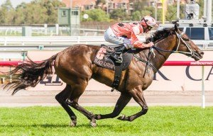 Flemington Raceday | Just Horse Racing