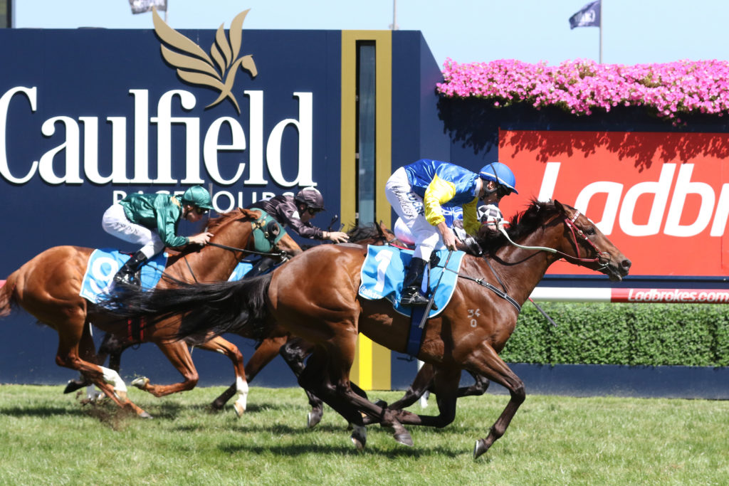 Black Heart Bart,Futurity Stakes,Group 1_25-02-2017_WIN_Caulfield_5__816 | Just Horse Racing