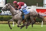 Black Jet - Glen Colless