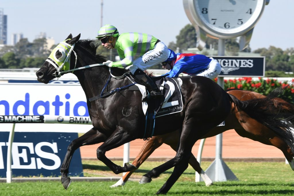 Black On Gold 060517 5542 | Just Horse Racing