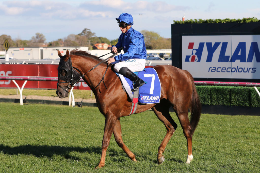 Blair House_30-09-2018_GEN_Caulfield__163 | Just Horse Racing