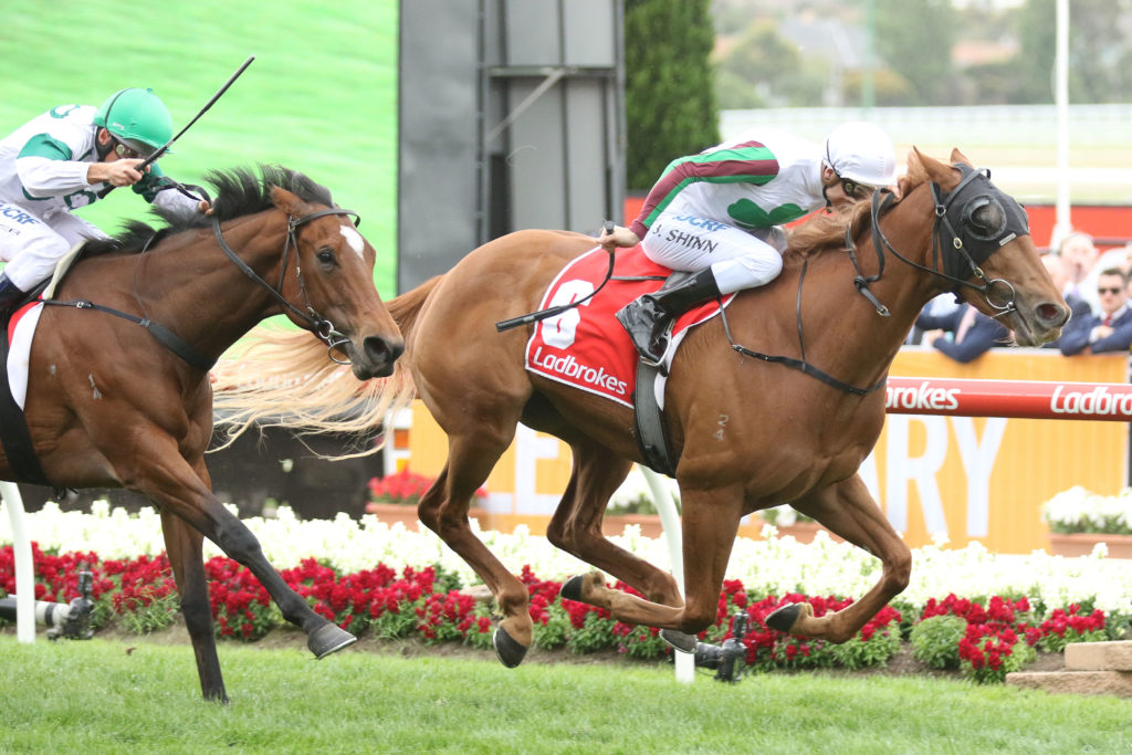 Blondie,Ladbrokes Crockett Stakes,Listed_28-10-2017_WIN_Moonee Valley_4__823 | Just Horse Racing
