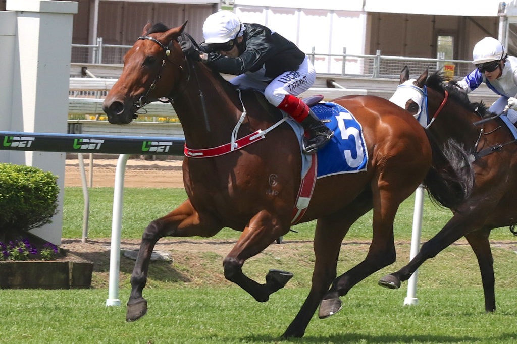 Blue Lion | Just Horse Racing
