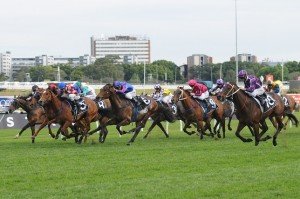 Boban 051013 4183 | Just Horse Racing Boban