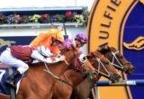 Boban - Memsie Stakes