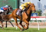 Bonne Nuit winning the Jimmy Demetriou & Brian Kelly Handicap at Flemington - photo by Race Horse Photos Australia