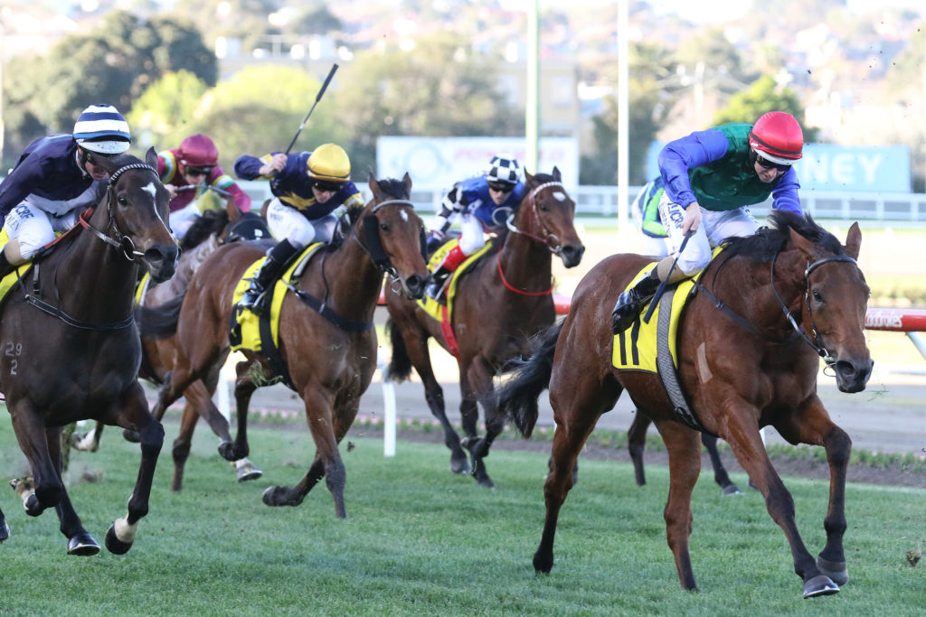 Bonneval,Dato Tan Chin Nam Stakes,Group 2_09-09-2017_WIN_Moonee Valley_8__1562 | Just Horse Racing