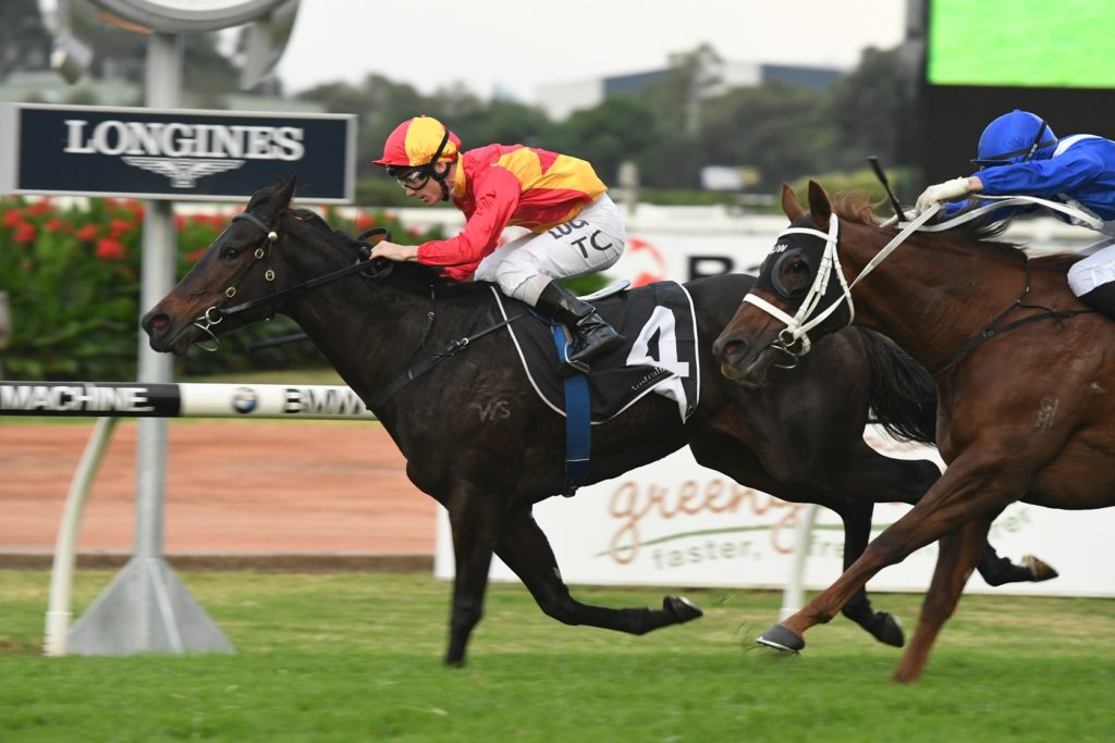 Bonny O'Reilly 060517 6174 | Just Horse Racing