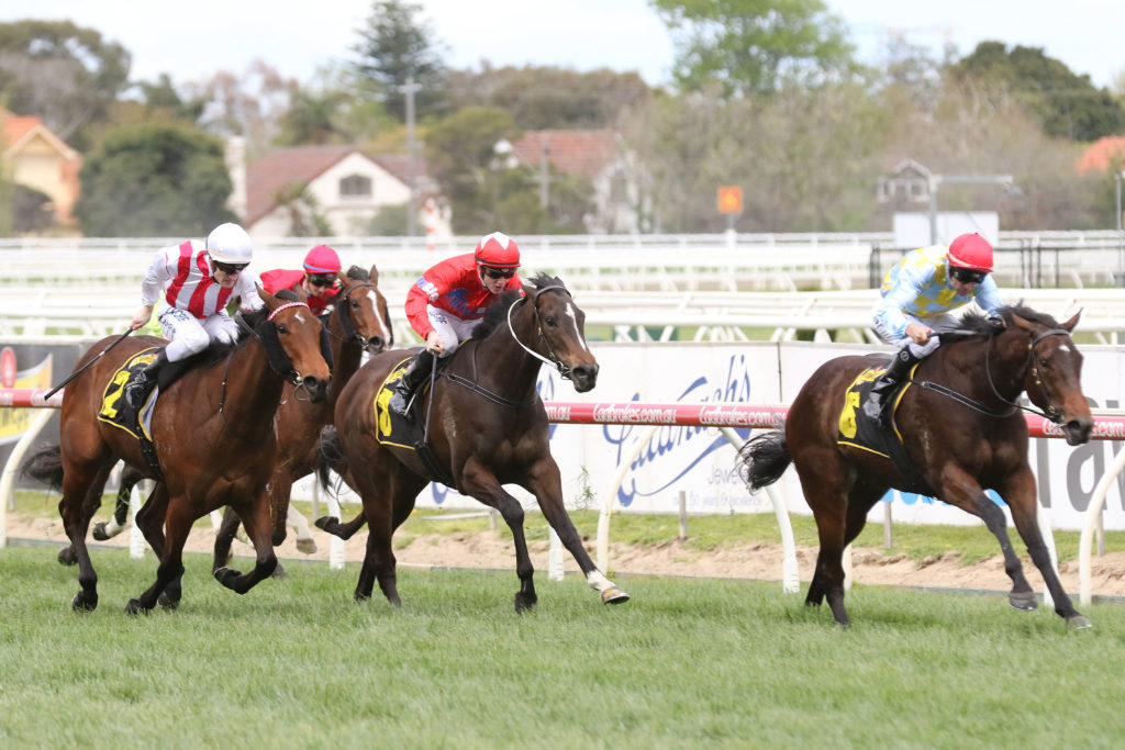 Booker,Thousand Guineas Prelude,Group 2_01-10-2017_WIN_Caulfield_5__696 | Just Horse Racing