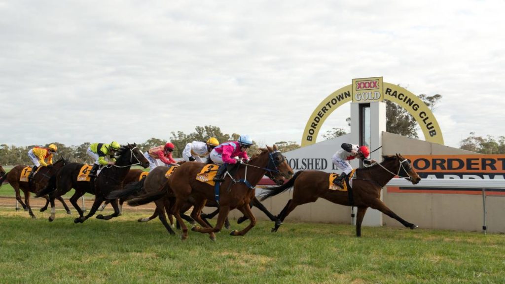 Bordertown Cup 2024 Field Preview, Odds, Horses, Speed Map and Betting Tips