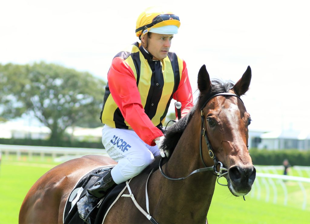 Brad Stewart | Just Horse Racing