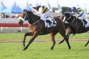 Brambles-horse-racing