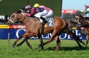 Brayroan winning the Southern Sheet & Coil Handicap - Photo by Steve Hart