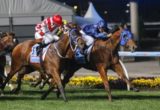 Buffering - Moir Stakes 2014