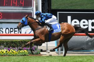 Buffering | Just Horse Racing Buffering