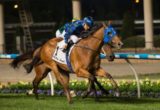 Buffering - Moir Stakes