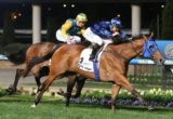 Buffering, Moir Stakes