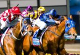 Buffering winning the Manikato Stakes at Moonee Valley - photo by Race Horse Photos Australia