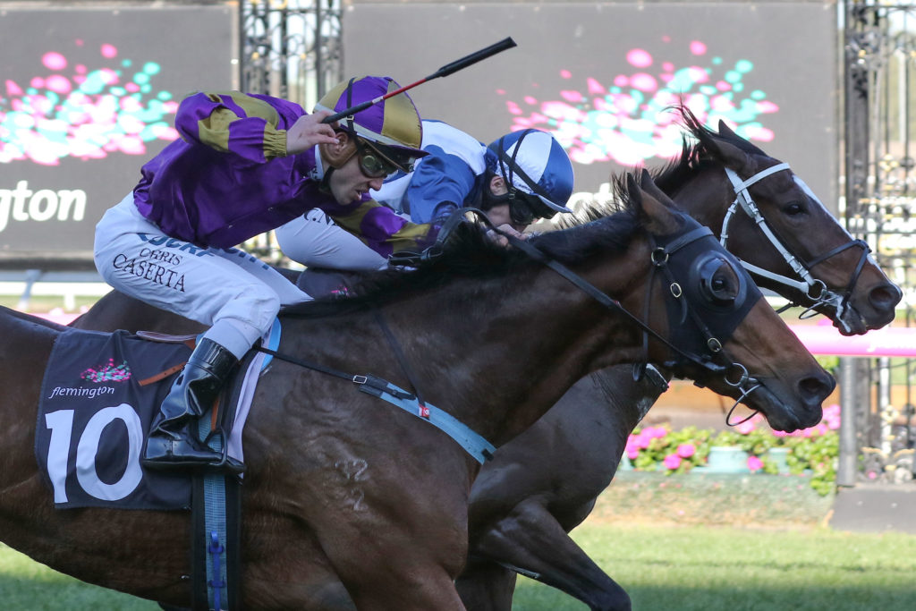 Bullish Stock_10-06-2017_WIN_Flemington_5__593 | Just Horse Racing