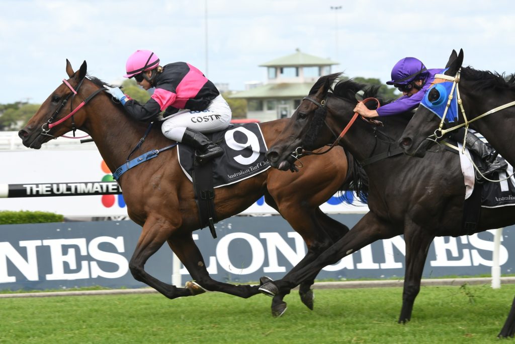 Bye See 030218 3173 | Just Horse Racing