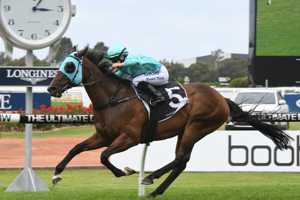Cabeza De Vaca 181117 3169 | Just Horse Racing