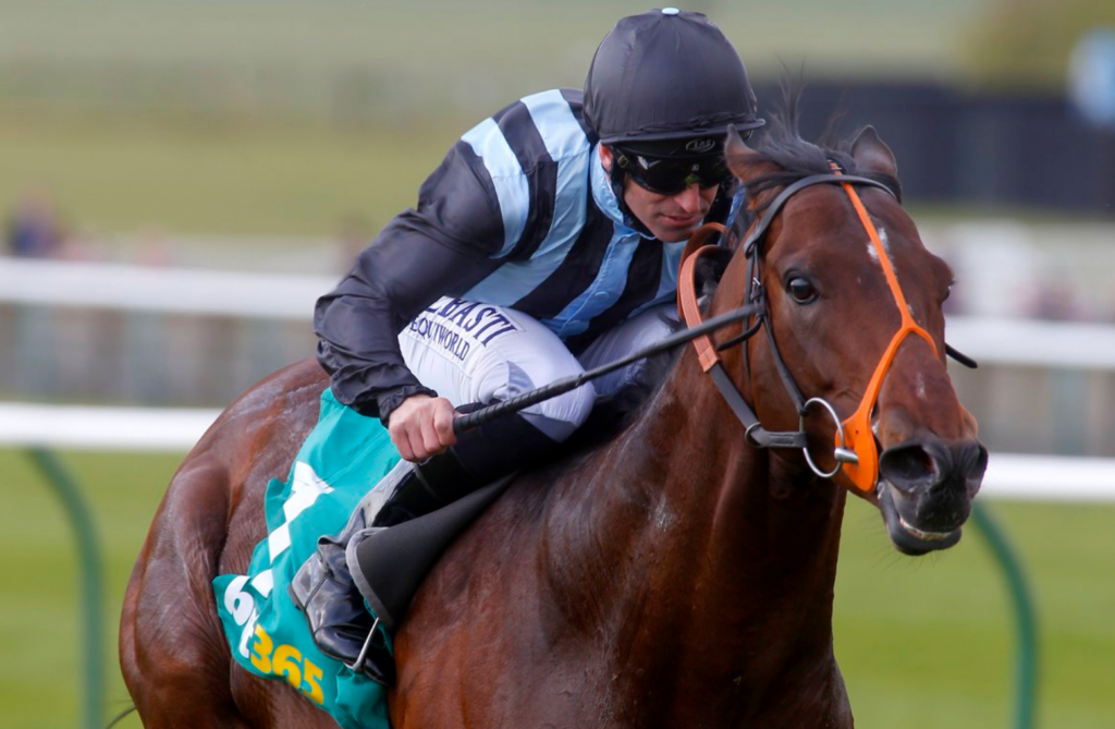 Calderon | Just Horse Racing