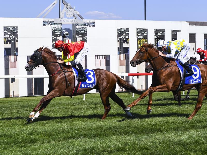 Canberra Guineas | Just Horse Racing