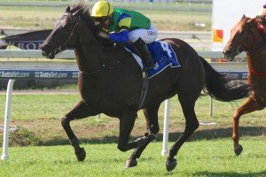 Cape Kidnappers - Damian Browne | Just Horse Racing Cape Kidnappers - Damian Browne