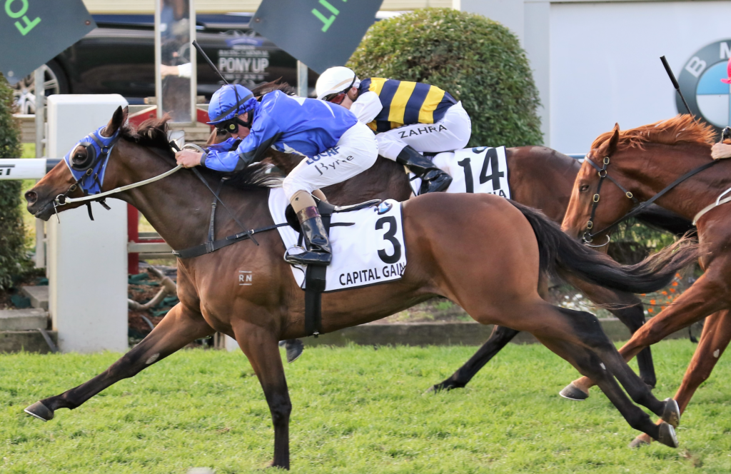 Capital Gain | Just Horse Racing