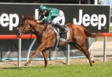 Golden Slipper 2016 favourite Capitalist