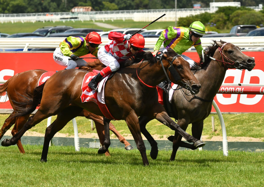 Online horse race betting Online horse race betting fiat to crypto fast